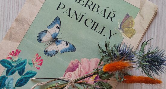 Herbář vzpomínek / Jak rostla školková zahrada